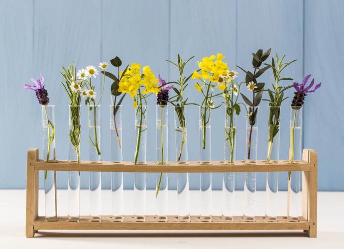 Alle anvendte planteolier og -fedtstoffer er økologiske