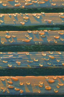 Træolie, voks & fernis PurSolid