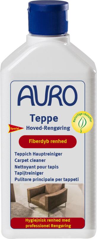 Tæppe-Hovedrengøring nr. 669